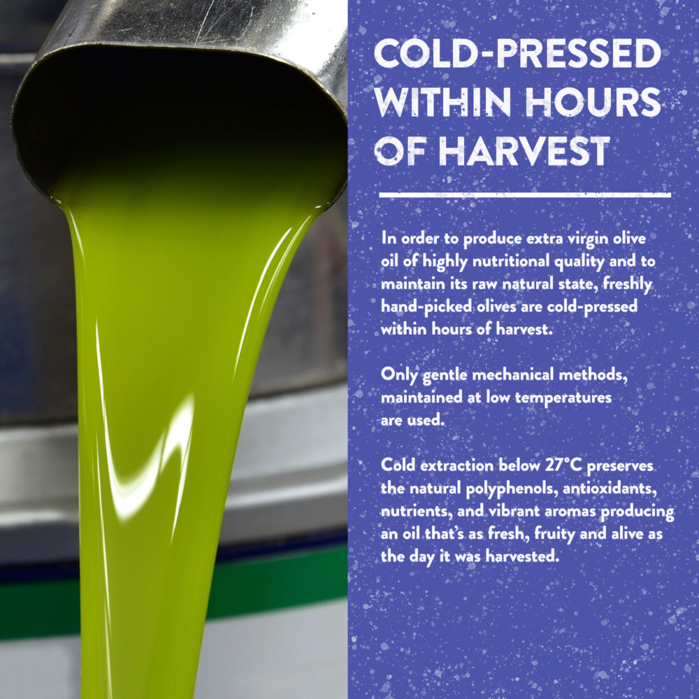 Organic Greek EVOO (cold-pressed) - Image 9