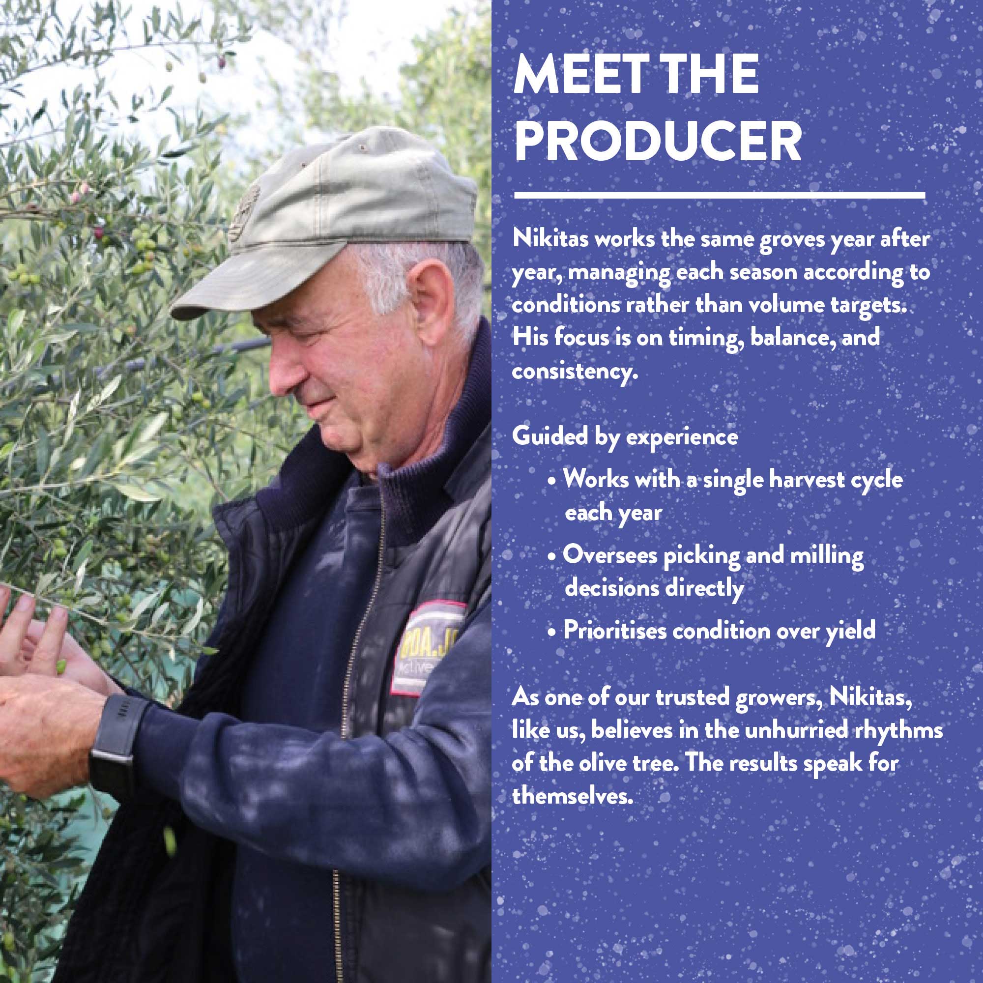 Organic Unfiltered Polyphenol-Rich Greek Extra Virgin Olive Oil - Image 9